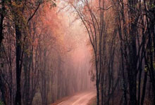 企微伴侣 企业微信辅助营销工具