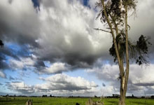 企微伴侣 企业微信辅助营销工具