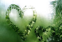 企微伴侣 企业微信辅助营销工具