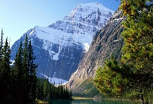 企微伴侣 企业微信辅助营销工具