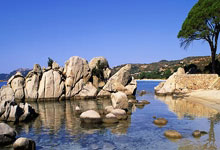 企微伴侣 企业微信辅助营销工具