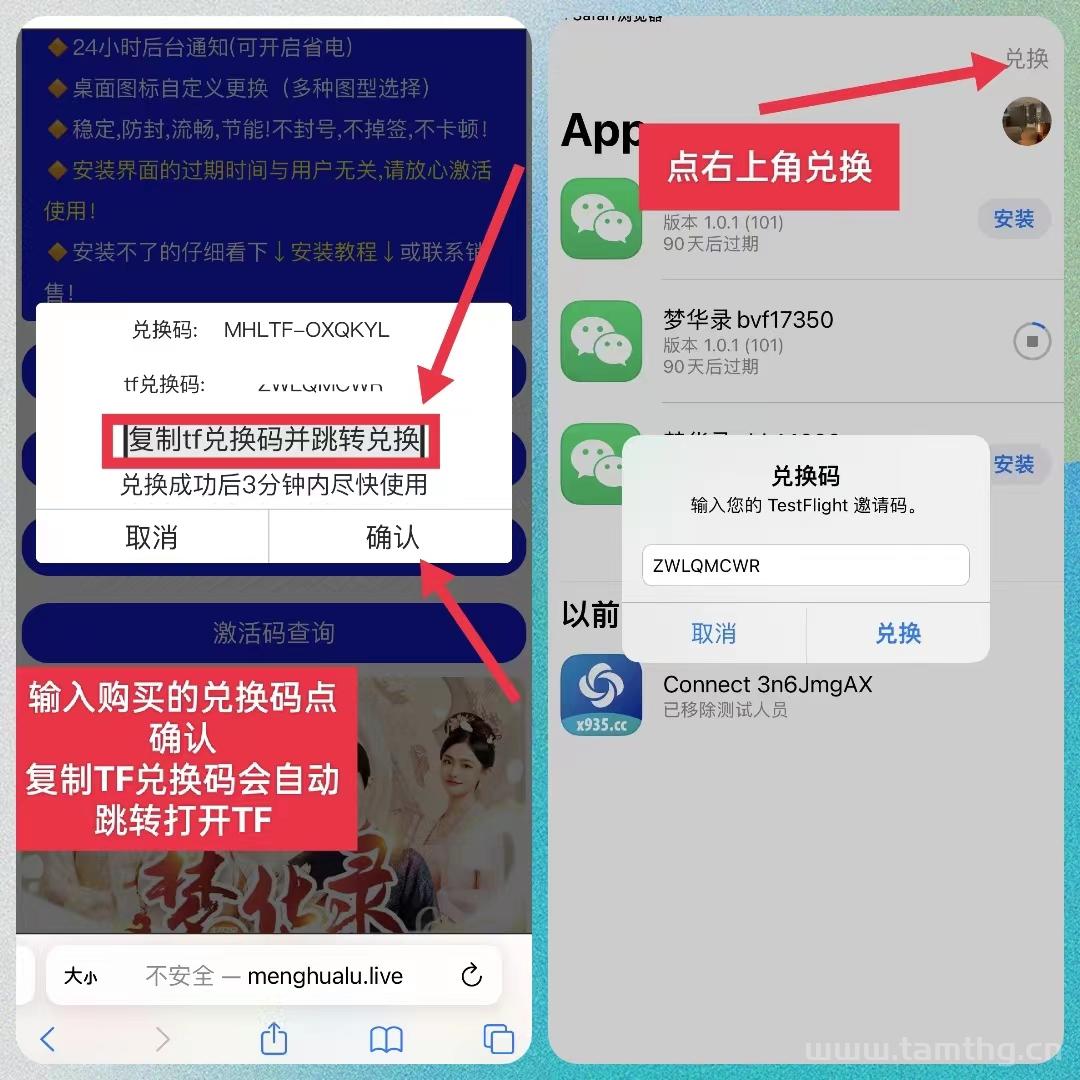 TF蓝天（苹果） 转发工具