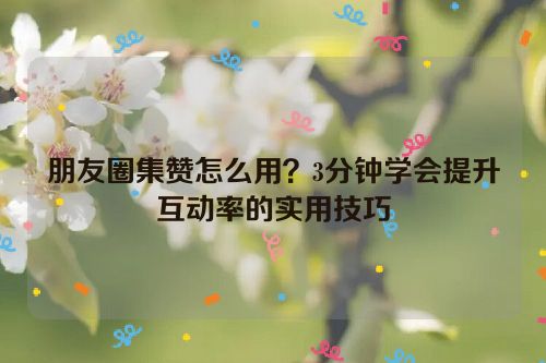 朋友圈集赞怎么用?3分钟学会提升互动率的实用技巧