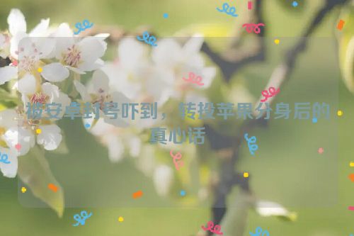 被安卓封号吓到,转投苹果分身后的真心话