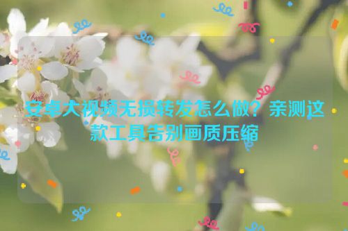 安卓大视频无损转发怎么做?亲测这款工具告别画质压缩