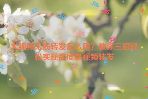 大视频无损转发怎么用?教你三招轻松实现高质量视频转发