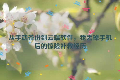 从手动备份到云端软件，我丢掉手机后的惊险补救经历