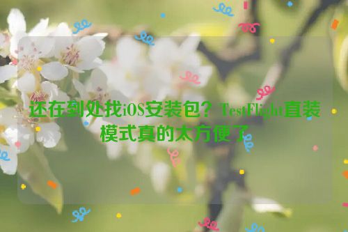 还在到处找iOS安装包?TestFlight直装模式真的太方便了