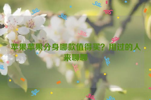 苹果苹果分身哪款值得买？用过的人来聊聊