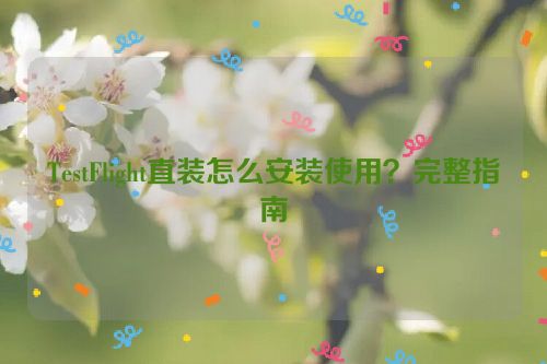 TestFlight直装怎么安装使用?完整指南