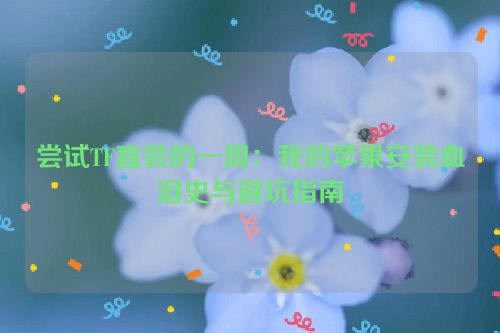 尝试TF直装的一周:我的苹果安装血泪史与避坑指南
