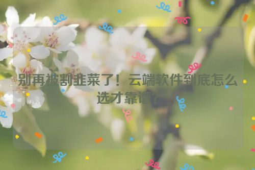 别再被割韭菜了!云端软件到底怎么选才靠谱?