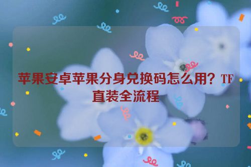 苹果安卓苹果分身兑换码怎么用?TF直装全流程