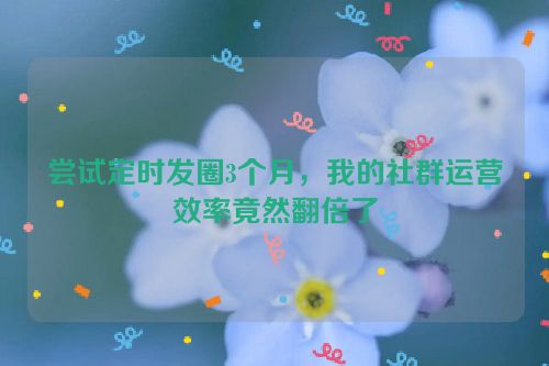 尝试定时发圈3个月,我的社群运营效率竟然翻倍了