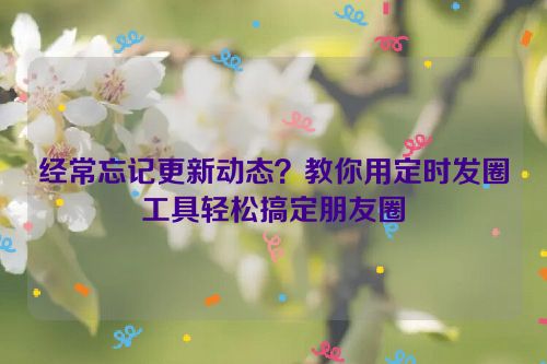 经常忘记更新动态？教你用定时发圈工具轻松搞定朋友圈