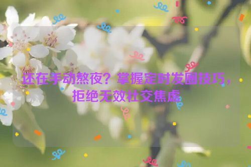 还在手动熬夜?掌握定时发圈技巧,拒绝无效社交焦虑