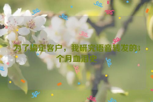 为了搞定客户，我研究语音转发的3个月血泪史