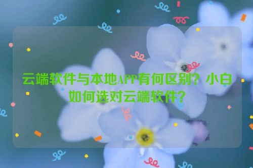 云端软件与本地APP有何区别?小白如何选对云端软件?
